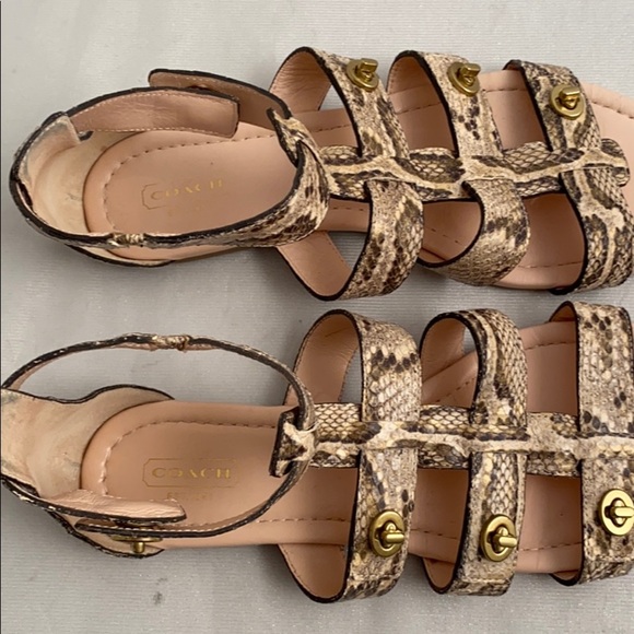 Coach Oleta tan brown python snake gladiator sandals 9 - Picture 8 of 8